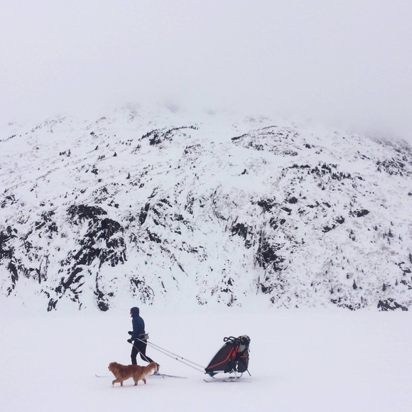 Meet your Posher, Up in Alaska - Picture 1 of 1
